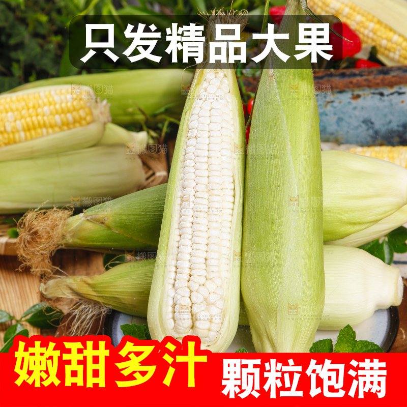 盘子里装着牛奶玉米