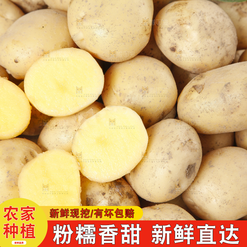 一堆小土豆