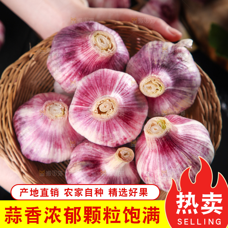 竹篮里装着紫皮大蒜
