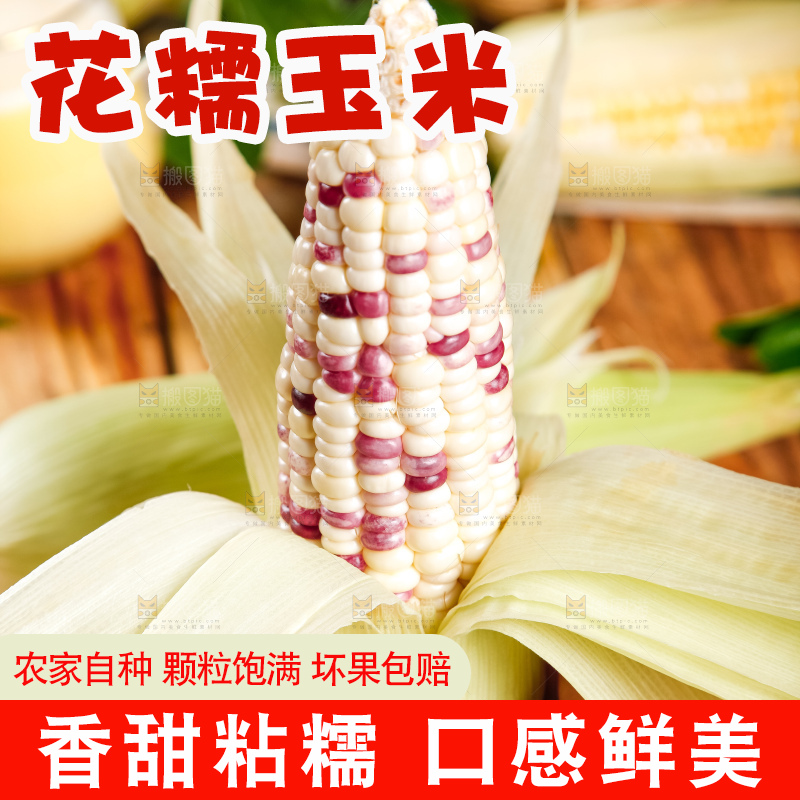 手里拿着剥皮的花玉米