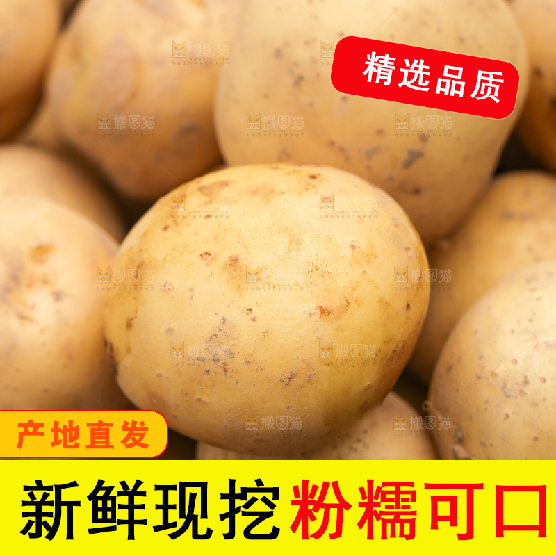 一堆小土豆