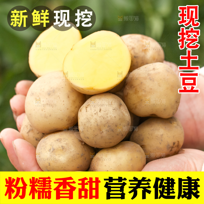 手里拿着云南小土豆