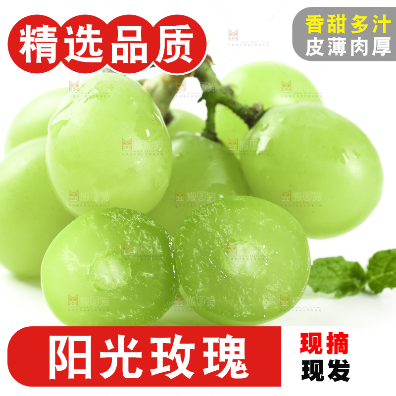 白底上放着阳光玫瑰