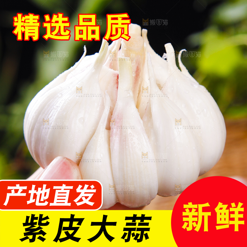 手里拿着紫皮蒜