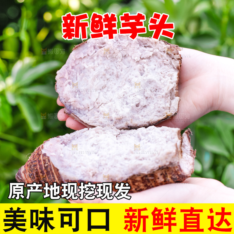 手里拿着紫藤芋头