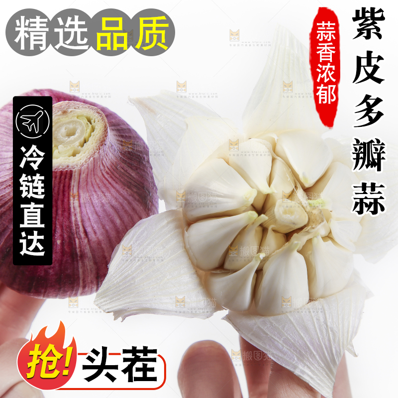 手里拿着紫皮蒜