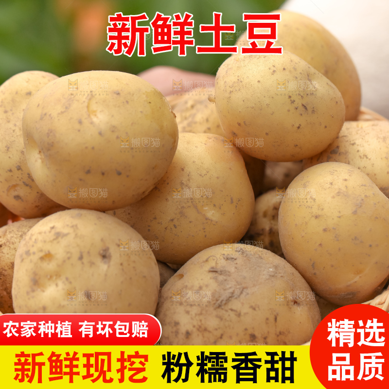 竹篮里放着云南小土豆