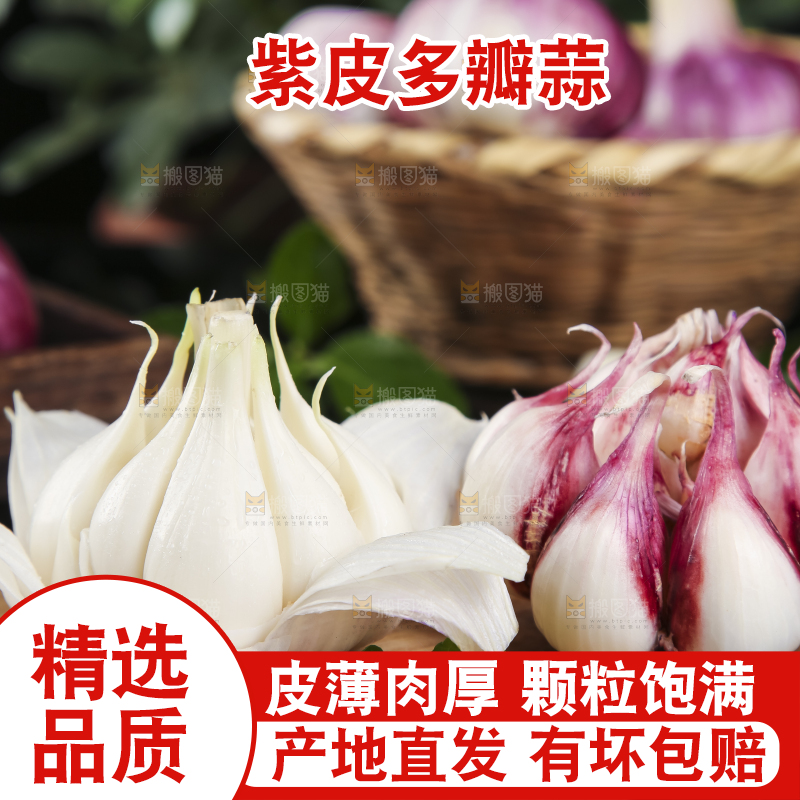 木板上放着剥开的云南紫皮蒜