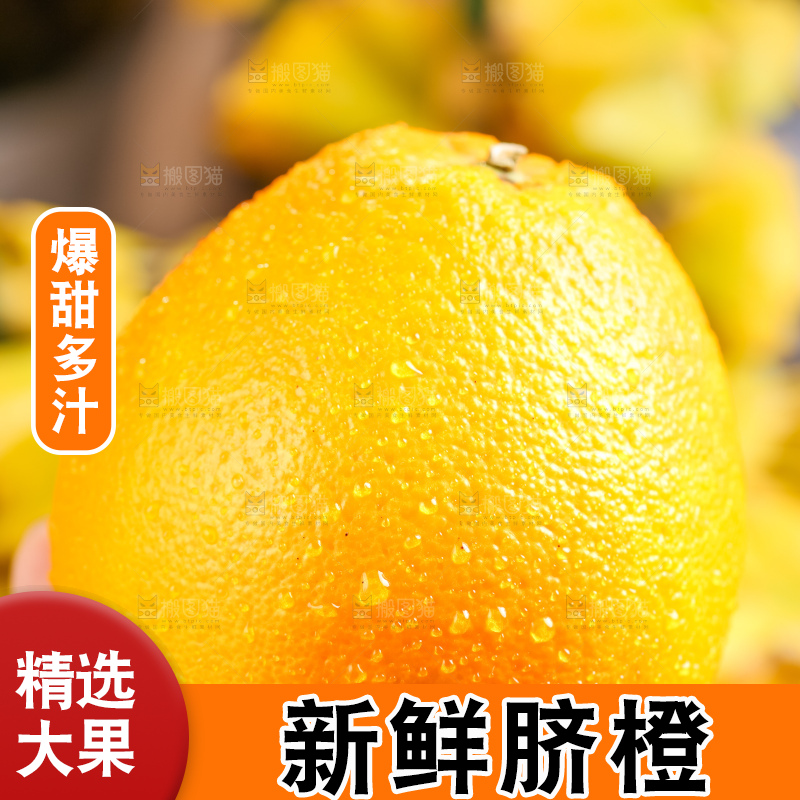 叶子上的新鲜脐橙