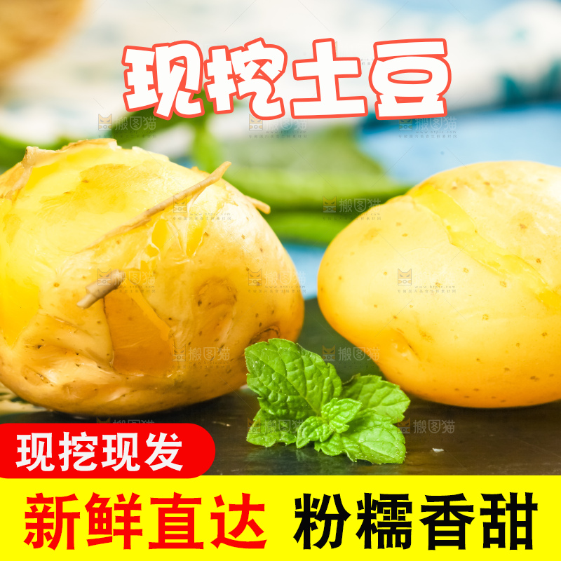 黑石板上的小土豆