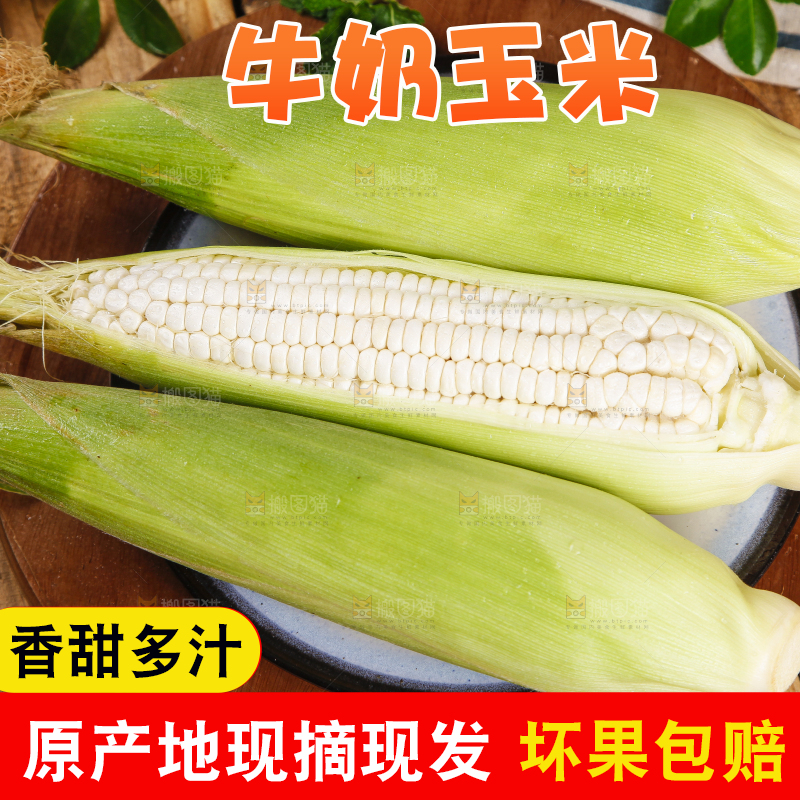 盘子里装着牛奶玉米