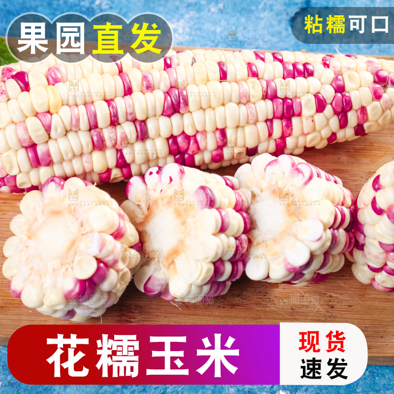 木板放着花糯玉米粒
