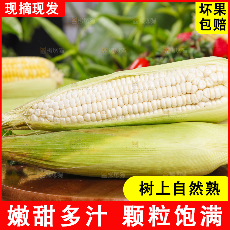 木板上放着牛奶玉米