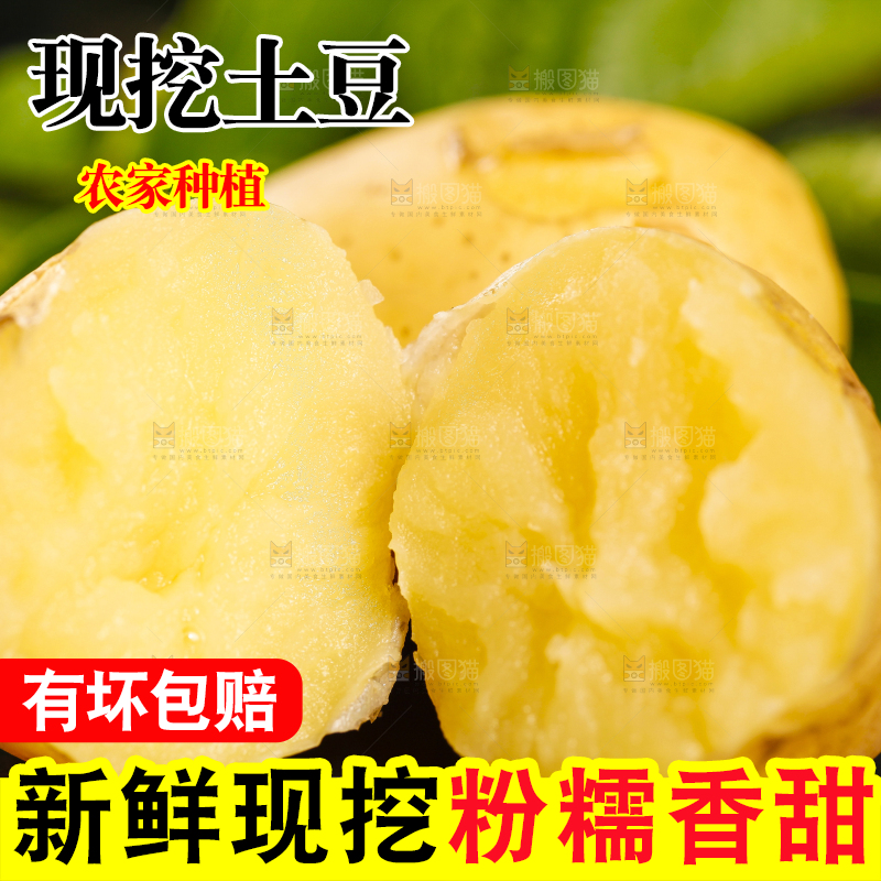 黑石垫上放着云南小土豆