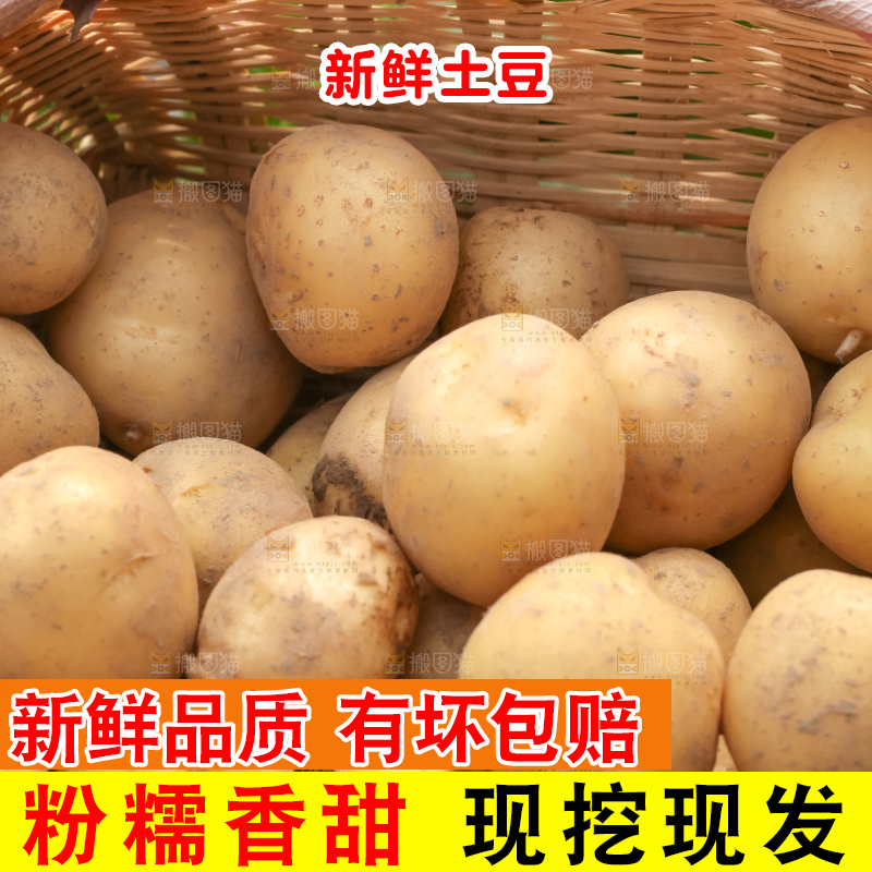 竹篮里装着小土豆