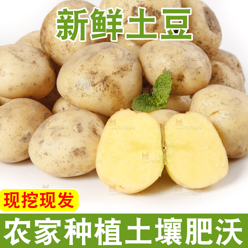 白底上放着小土豆