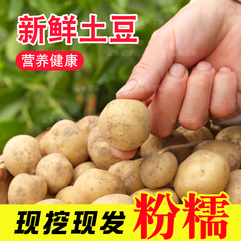 竹篮里放着云南小土豆