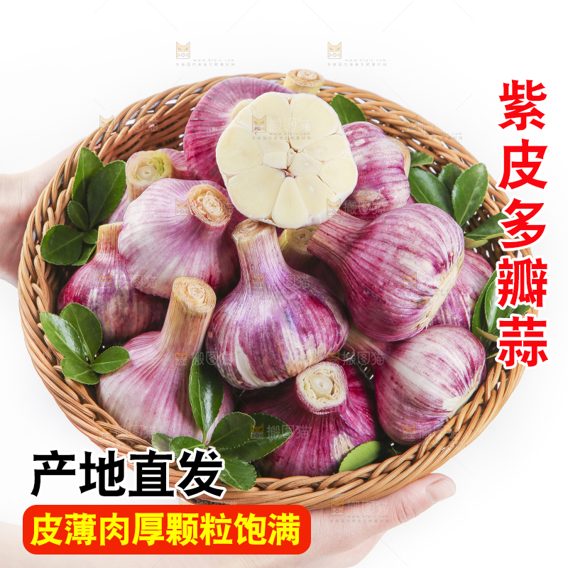 竹篮里面放着紫皮蒜