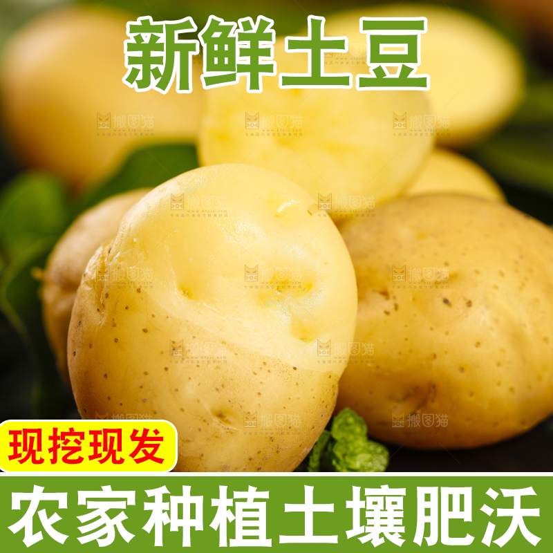 黑石板上放着小土豆