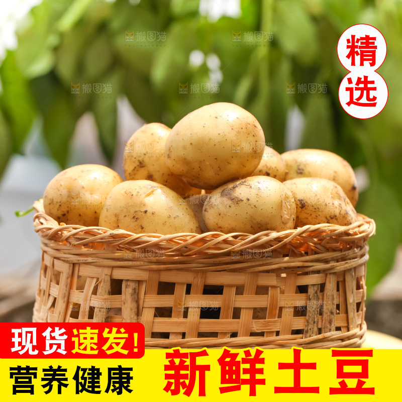 竹篮里装着云南小土豆
