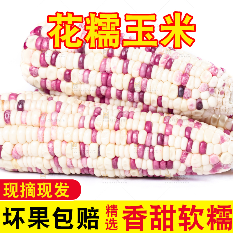 白底上放着花糯玉米