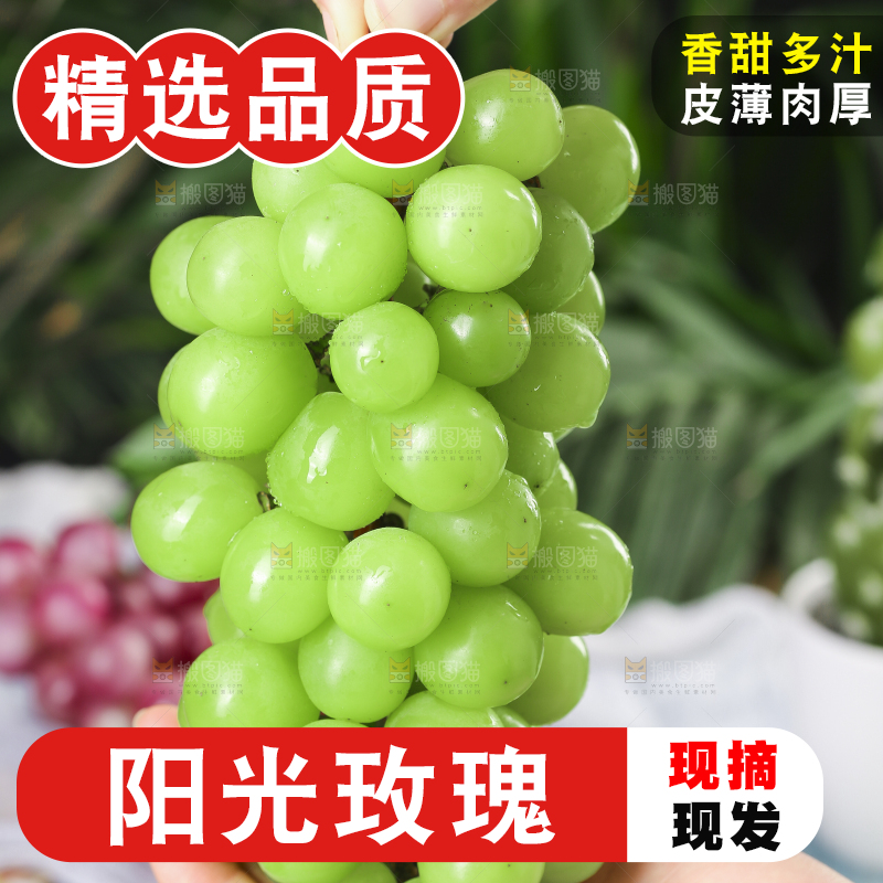 手里拿着无籽青提