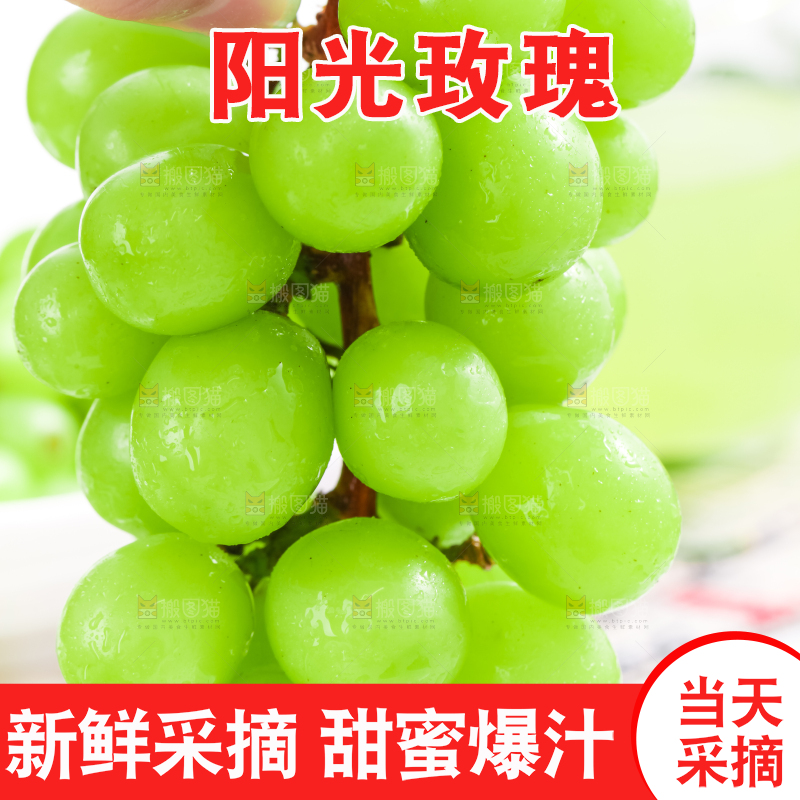 手里拿着无籽青提
