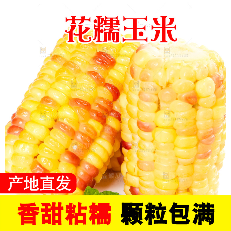 白底上放着切块的广西花糯玉米