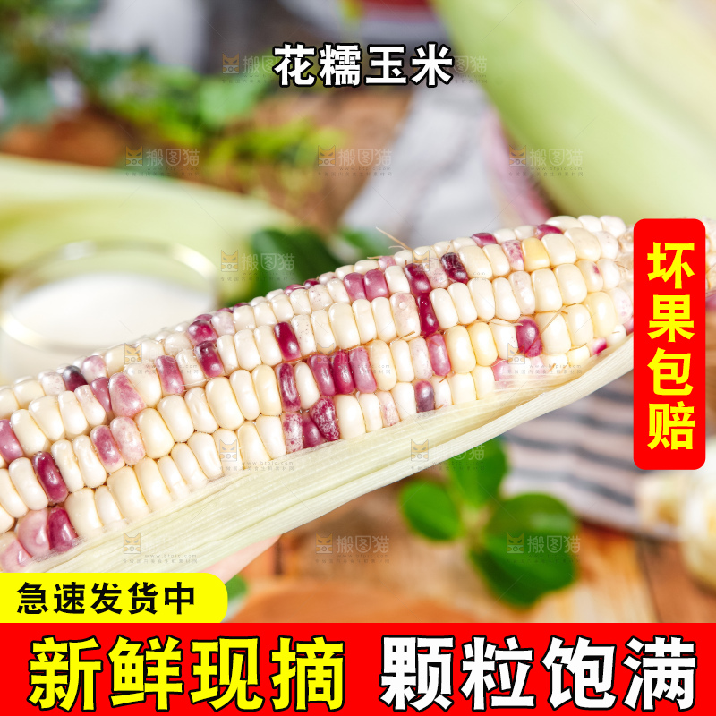 手里拿着花糯玉米
