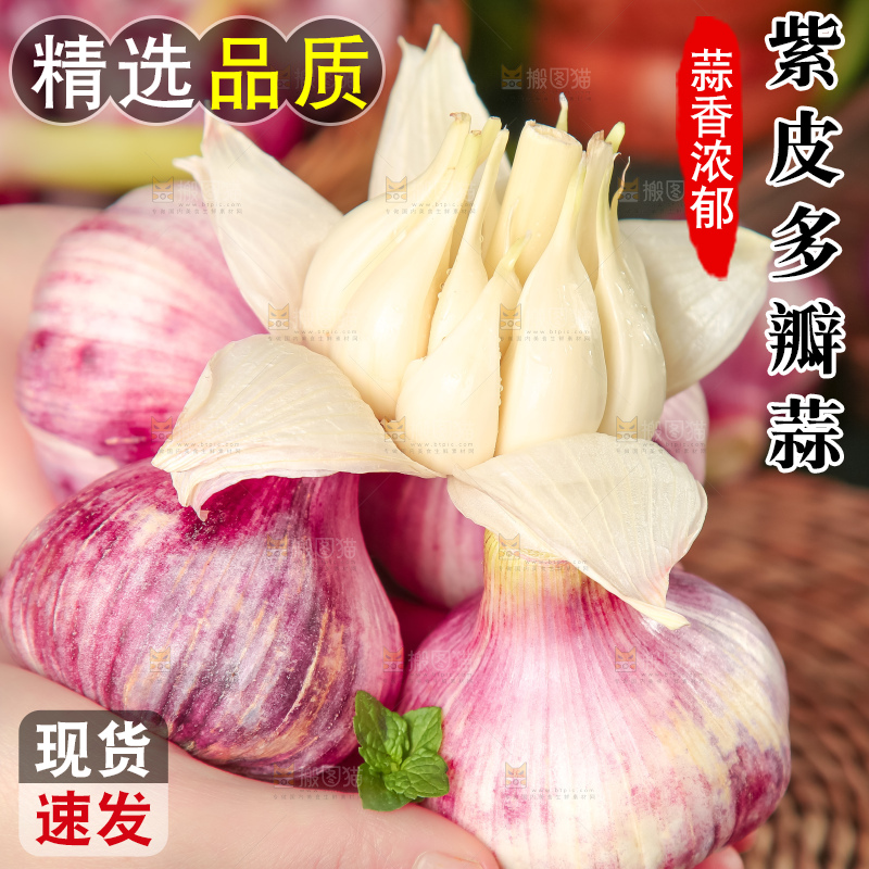 手里拿着紫皮蒜