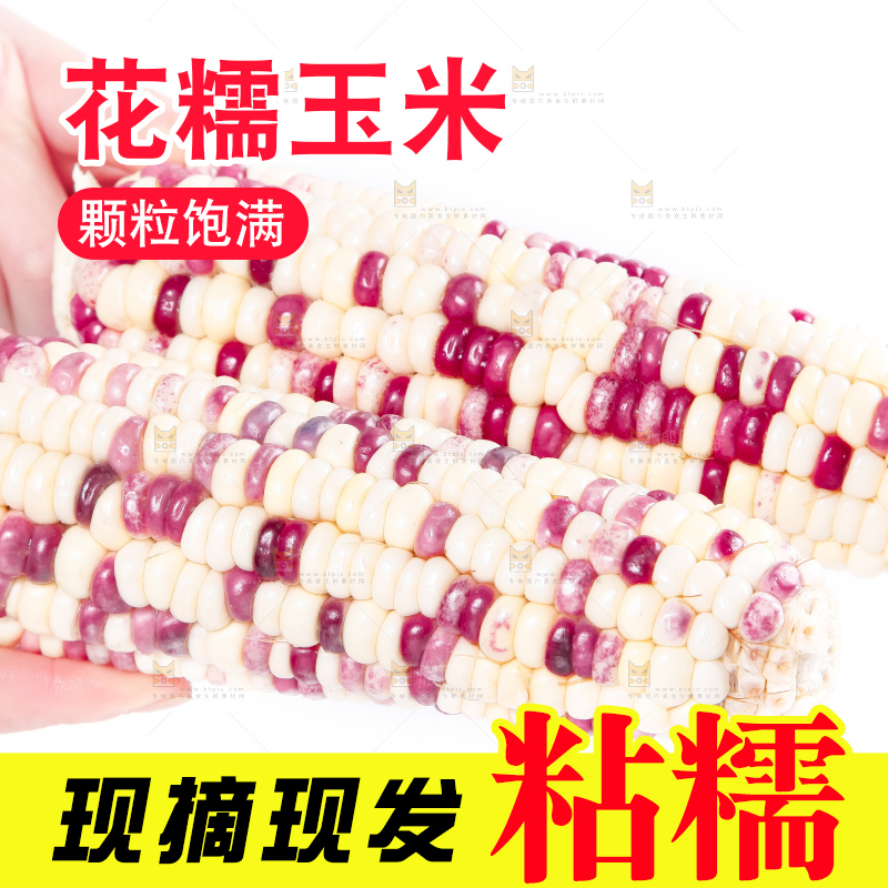 手里拿着剥皮的花玉米