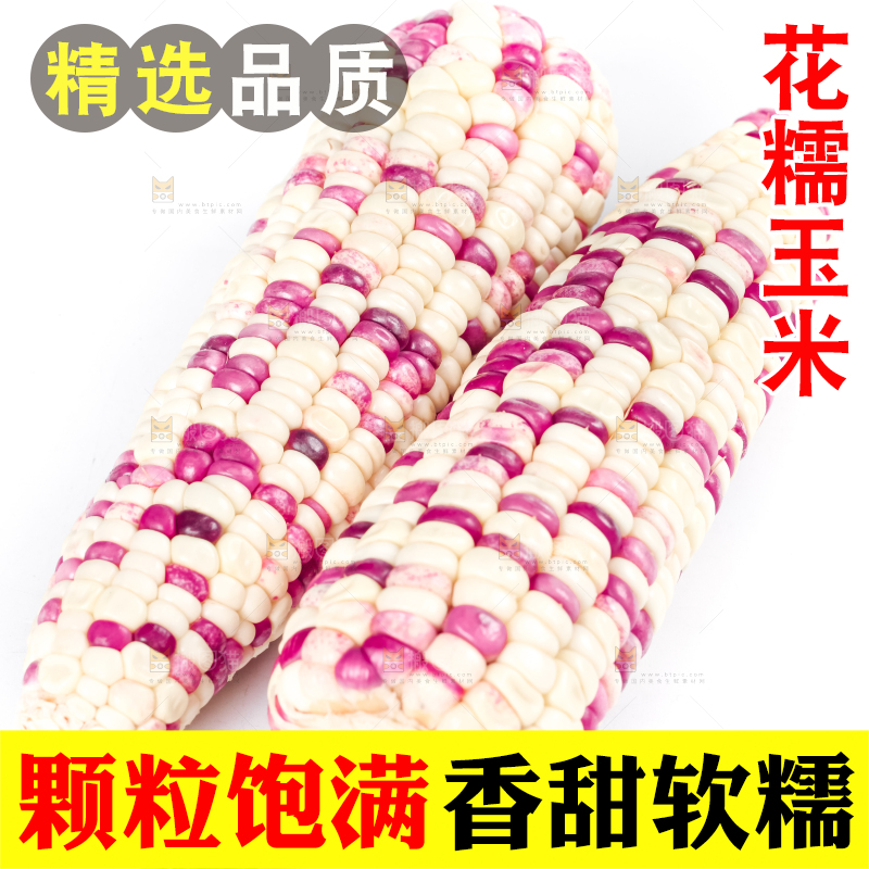 白底上放着花糯玉米