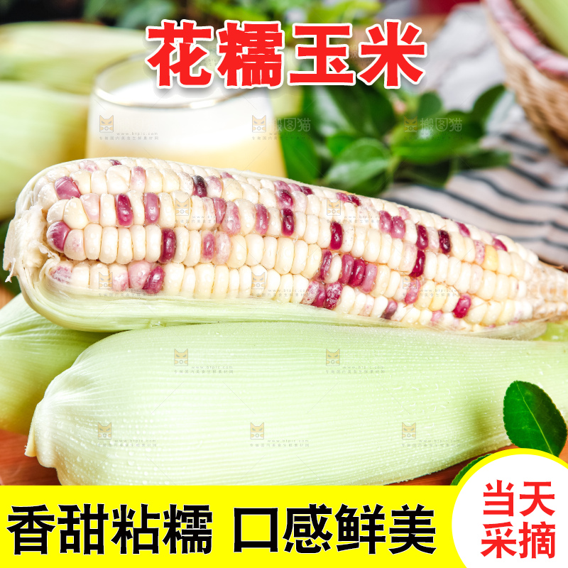 木板上放着剥皮的花糯玉米