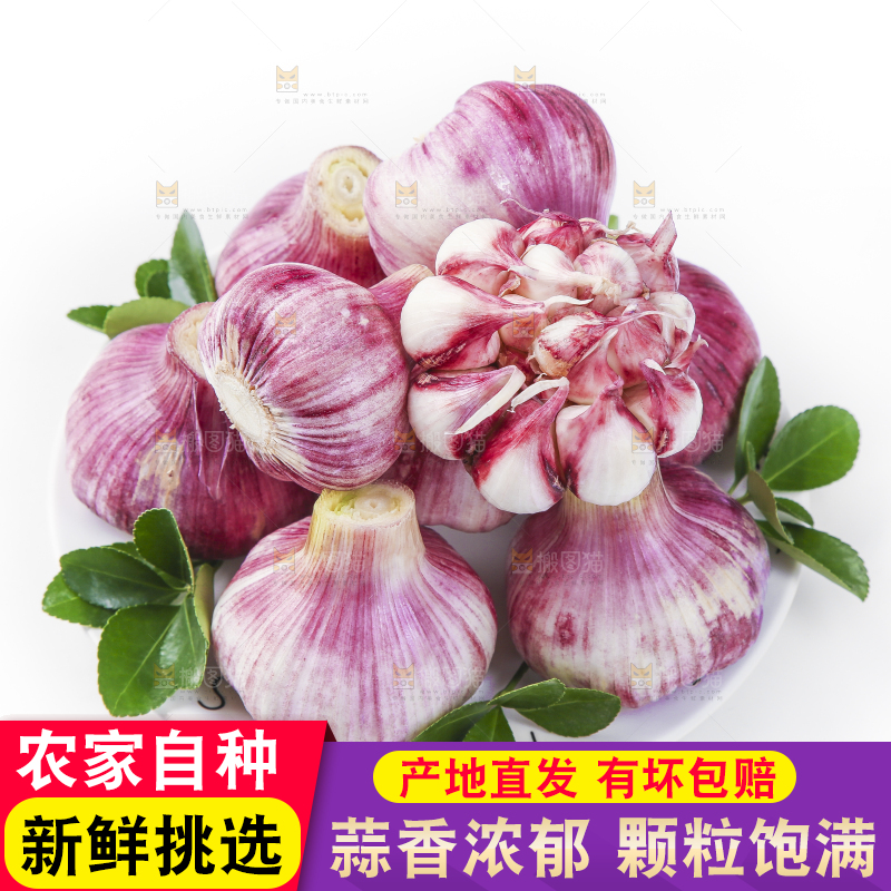 盘子里装着云南紫皮蒜