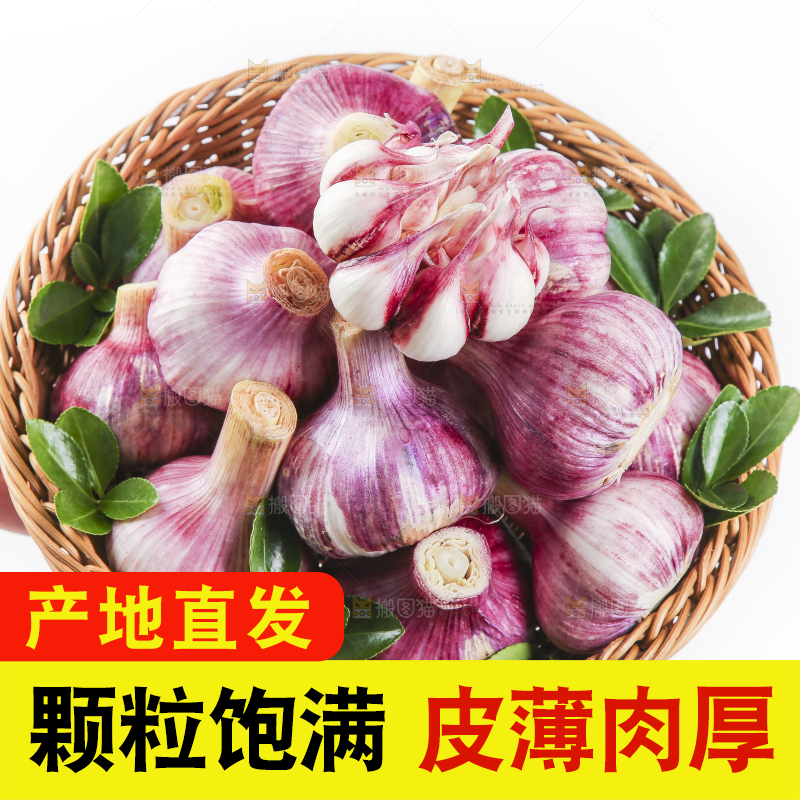 竹篮里面放着紫皮蒜