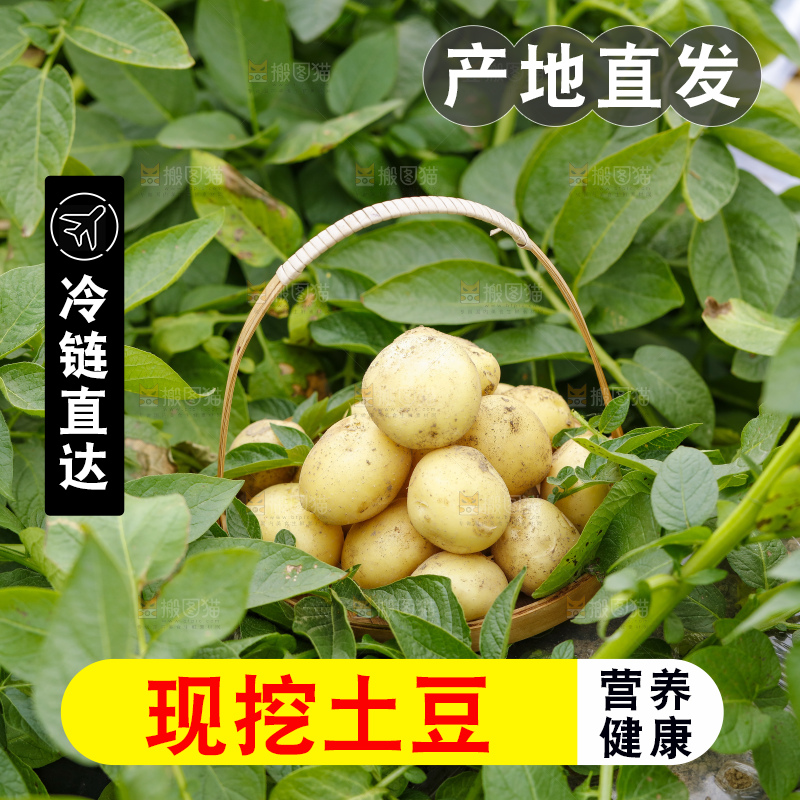 竹篮里装着土豆