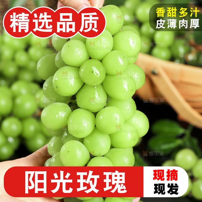 手里拿着无籽青提