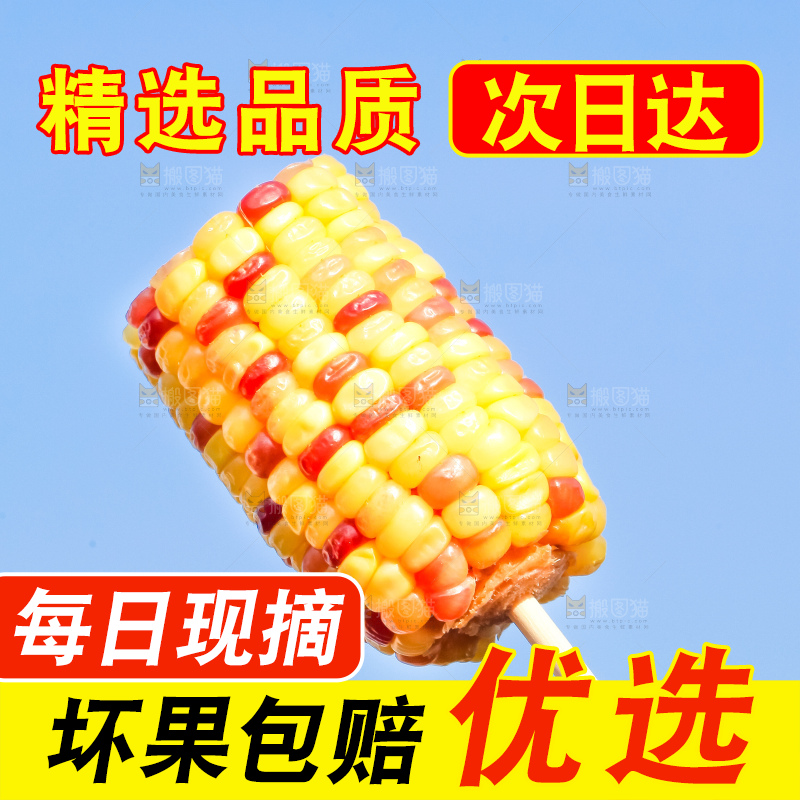 筷子插着花糯玉米