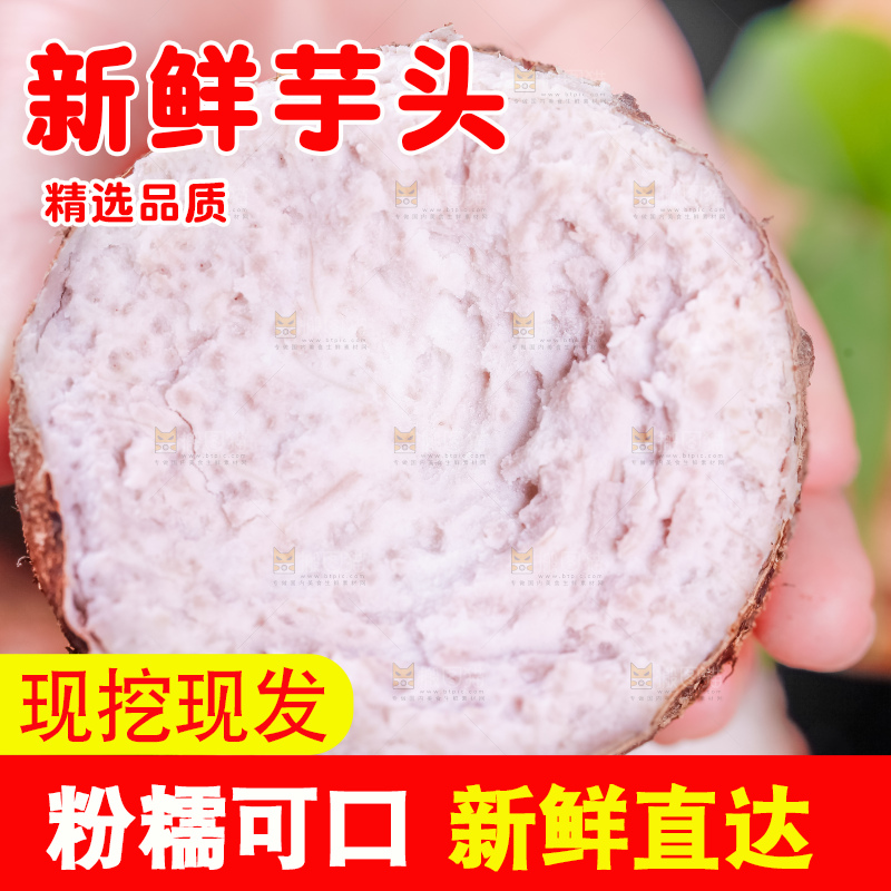 手里拿着大芋头