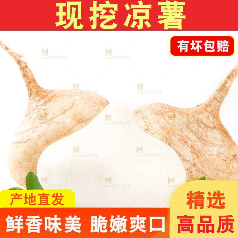 白底上的凉薯