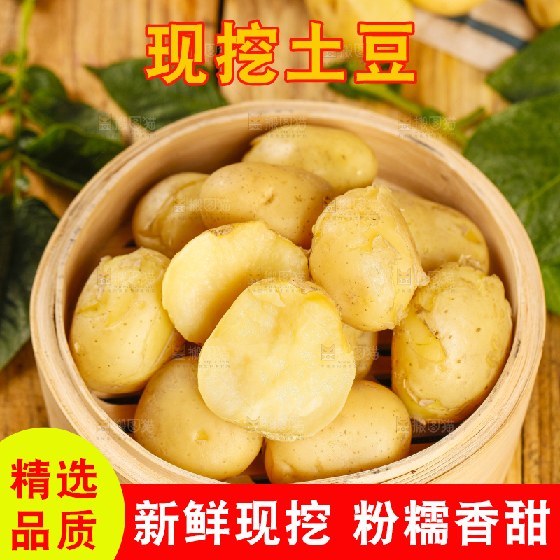 竹笼里放着小土豆