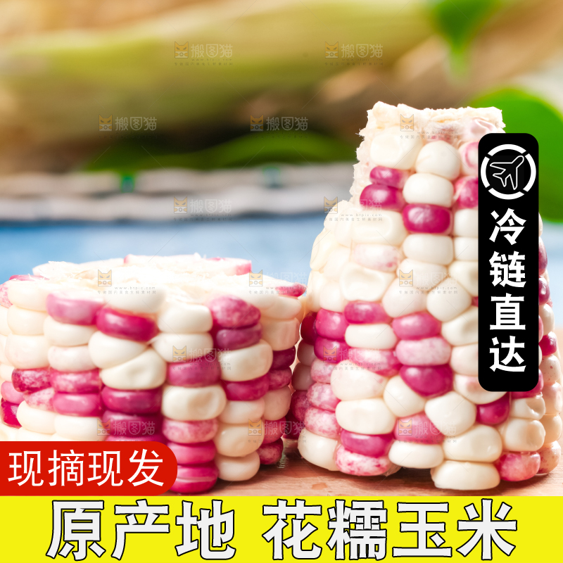 木板放着花糯玉米粒
