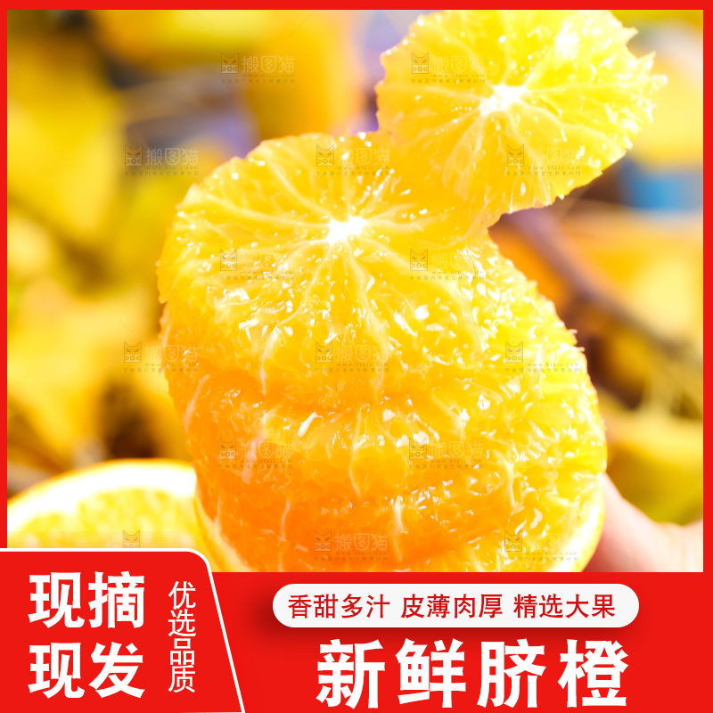 叶子上的新鲜脐橙