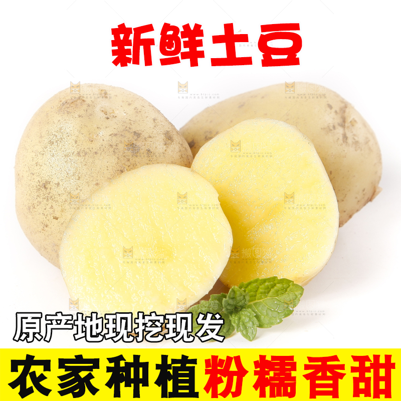 白底上放着土豆