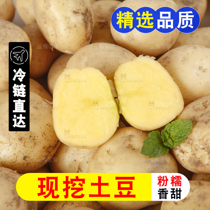 一堆小土豆