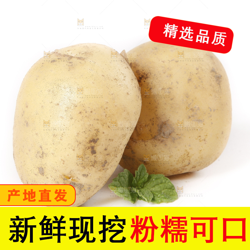 白底上放着土豆