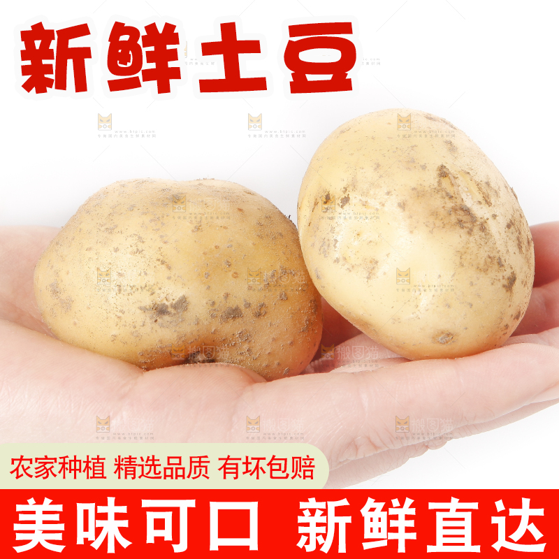 手里拿着小土豆