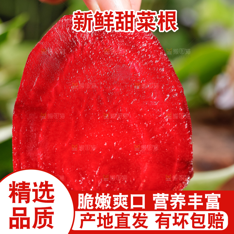 手里拿着甜菜根
