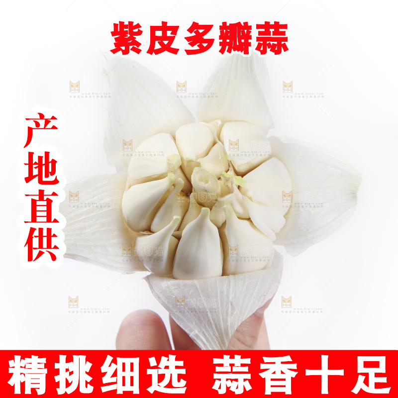 手里拿着紫皮蒜