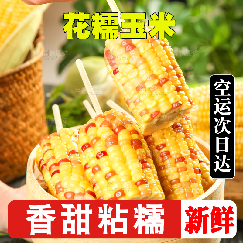 竹笼里装着糯玉米